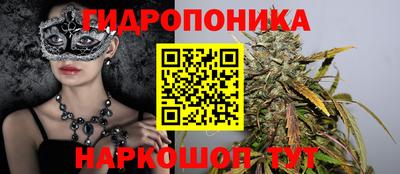 мет Боровичи
